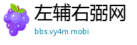左辅右弼网